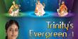 trinity's evergreen   1